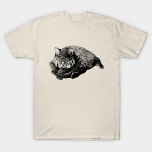 Bobcat cub T-Shirt